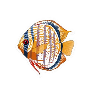 Wild Discus Sticker