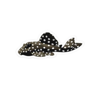 Snowball Pleco Sticker