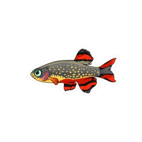Celestial Pearl Danio (Galaxy Rasbora) Sticker
