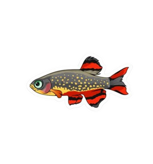 Celestial Pearl Danio (Galaxy Rasbora) Sticker