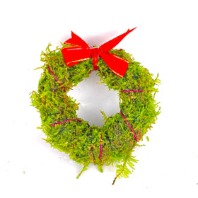 Christmas Moss Wreath