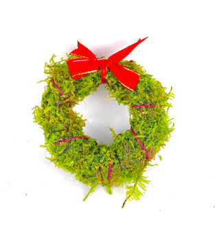 Christmas Moss Wreath