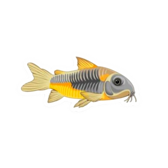 Venezuelan Cory Catfish Sticker