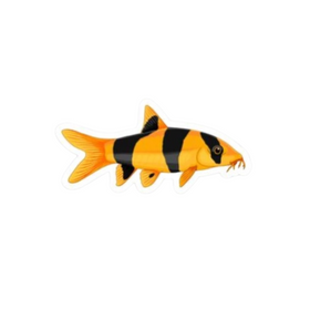 Clown Loach Sticker