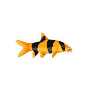 Clown Loach Sticker