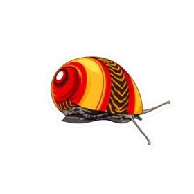 Red Racer Nerite Snail Sticker
