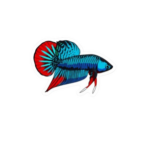 Wild Imbellis Betta Sticker