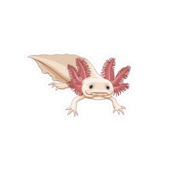 Axolotl Sticker