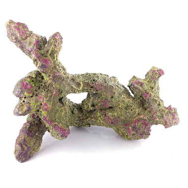 Tonga Branch 10"X8"X5" - 755