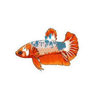 Galaxy Betta Sticker