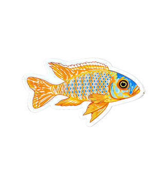 Yellow Peacock Cichlid Sticker