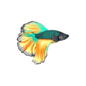 Delta Betta Sticker