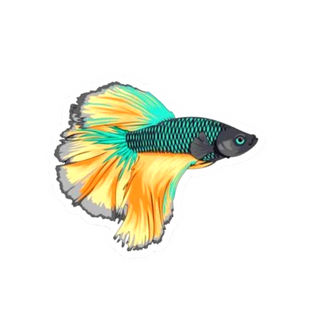 Delta Betta Sticker
