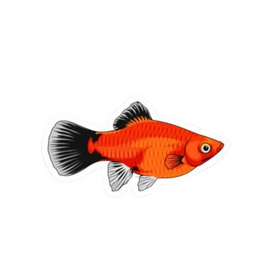 Orange Platy Sticker