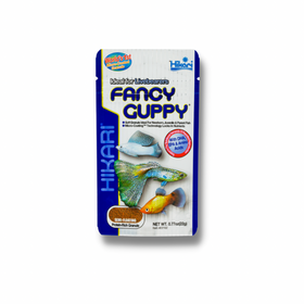 Hikari Fancy Guppy