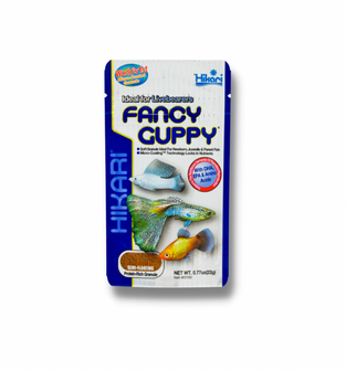 Hikari Fancy Guppy